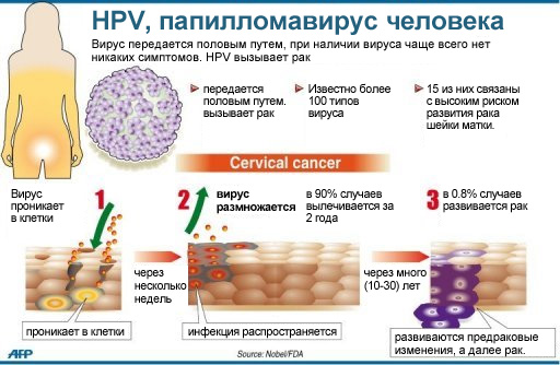 Вирус папилломы человека высокого канцерогенного риска генотипирование